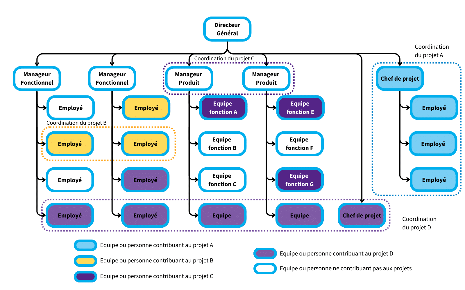 Les structures organisationnelles décryptées : avantages, inconvénients et impact sur vos projets